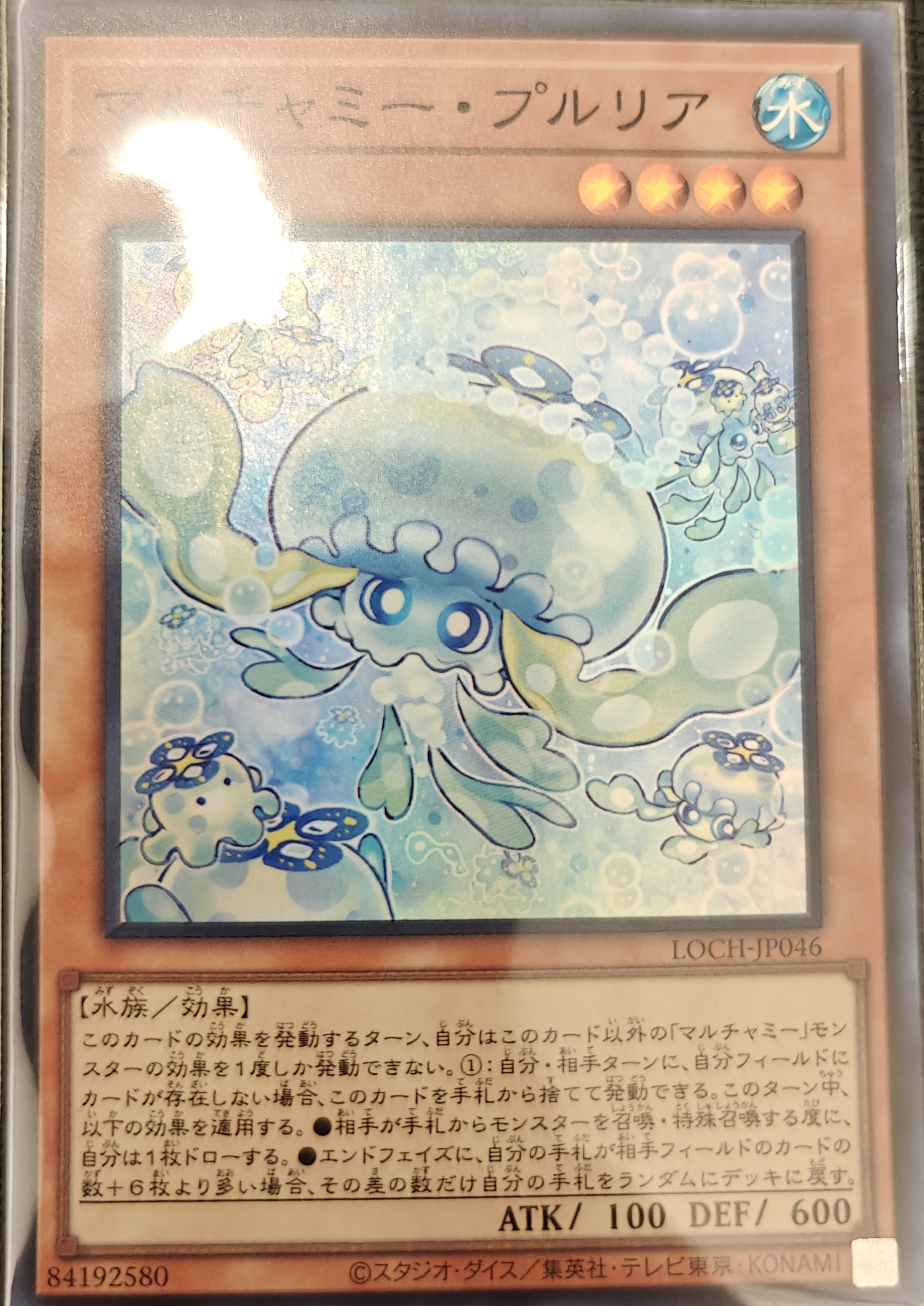 マルチャミー・プルリア